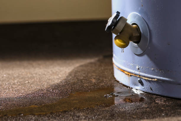 Best Carpet water damage restoration  in Wilmer, TX