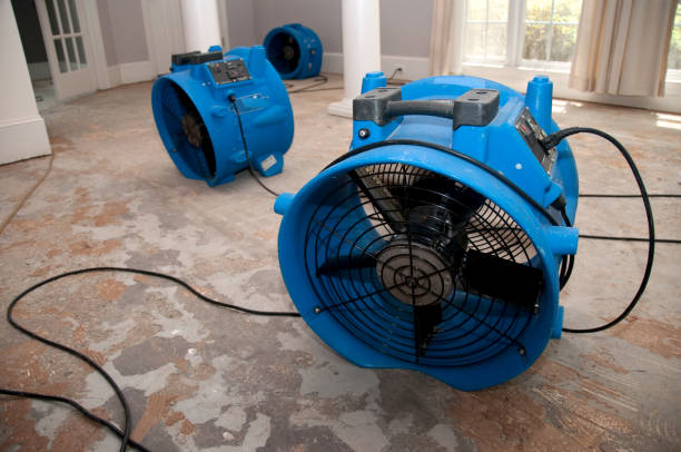 Best Water damage cleanup near me  in Wilmer, TX