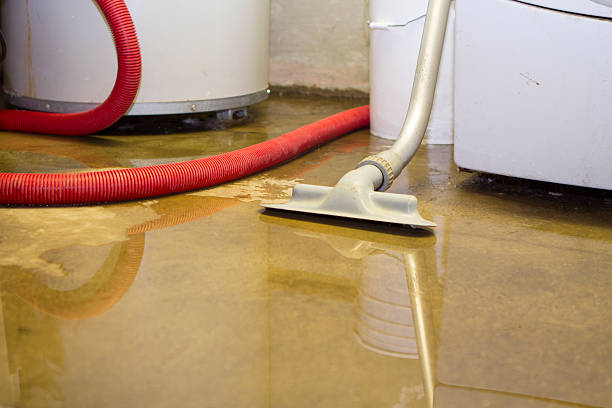 Best Flooded house restoration  in Wilmer, TX