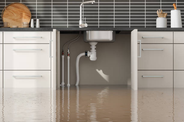 Best Professional water damage repair  in Wilmer, TX