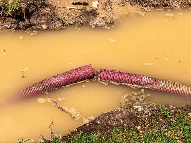 Best Local water damage restoration  in Wilmer, TX
