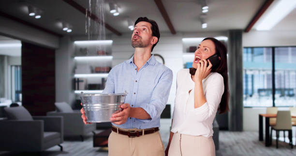 Best Water damage restoration specialists  in Wilmer, TX